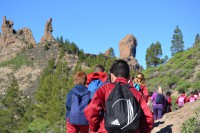 /album/fotogaleria/cole-0011-jpg/